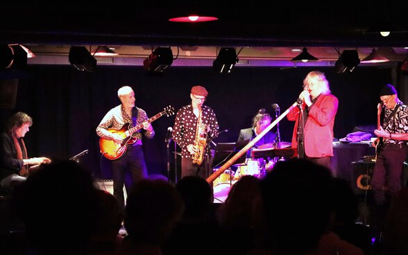 Jazzband Hornbox