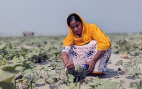 A strong Swiss alliance is fighting the climate crisis in Bangladesh