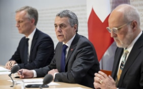 Federal Council in favour of optional referendum